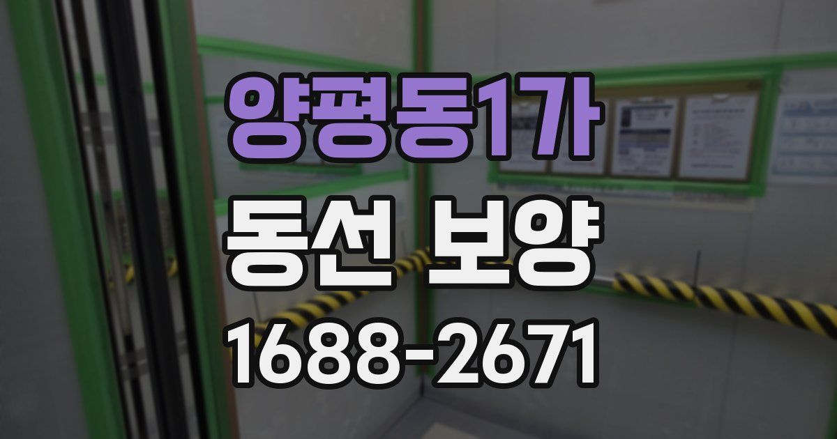 양평동1가 동선 보양