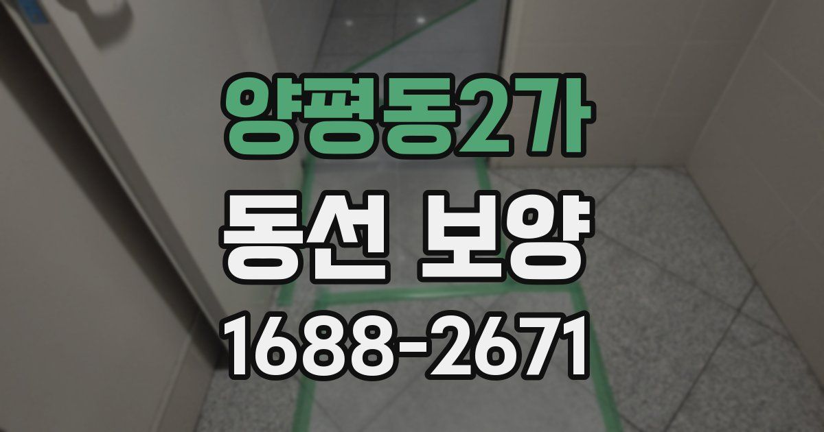 양평동2가 동선 보양