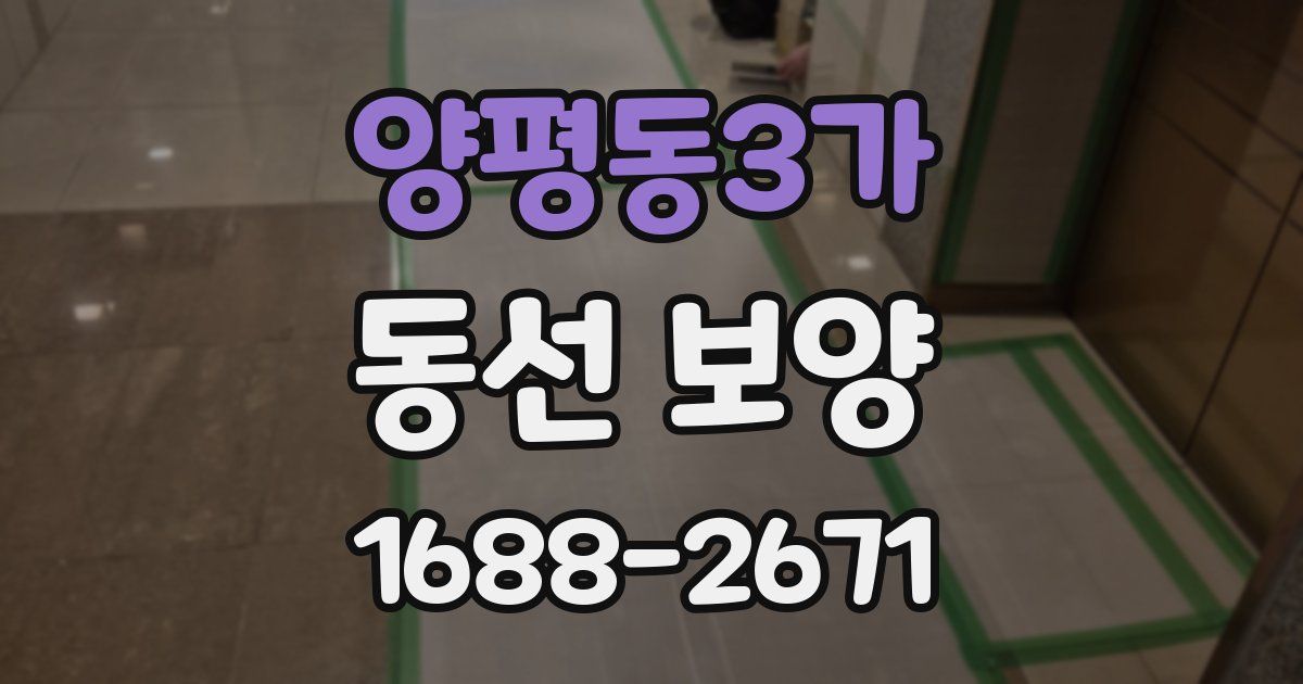 양평동3가 동선 보양