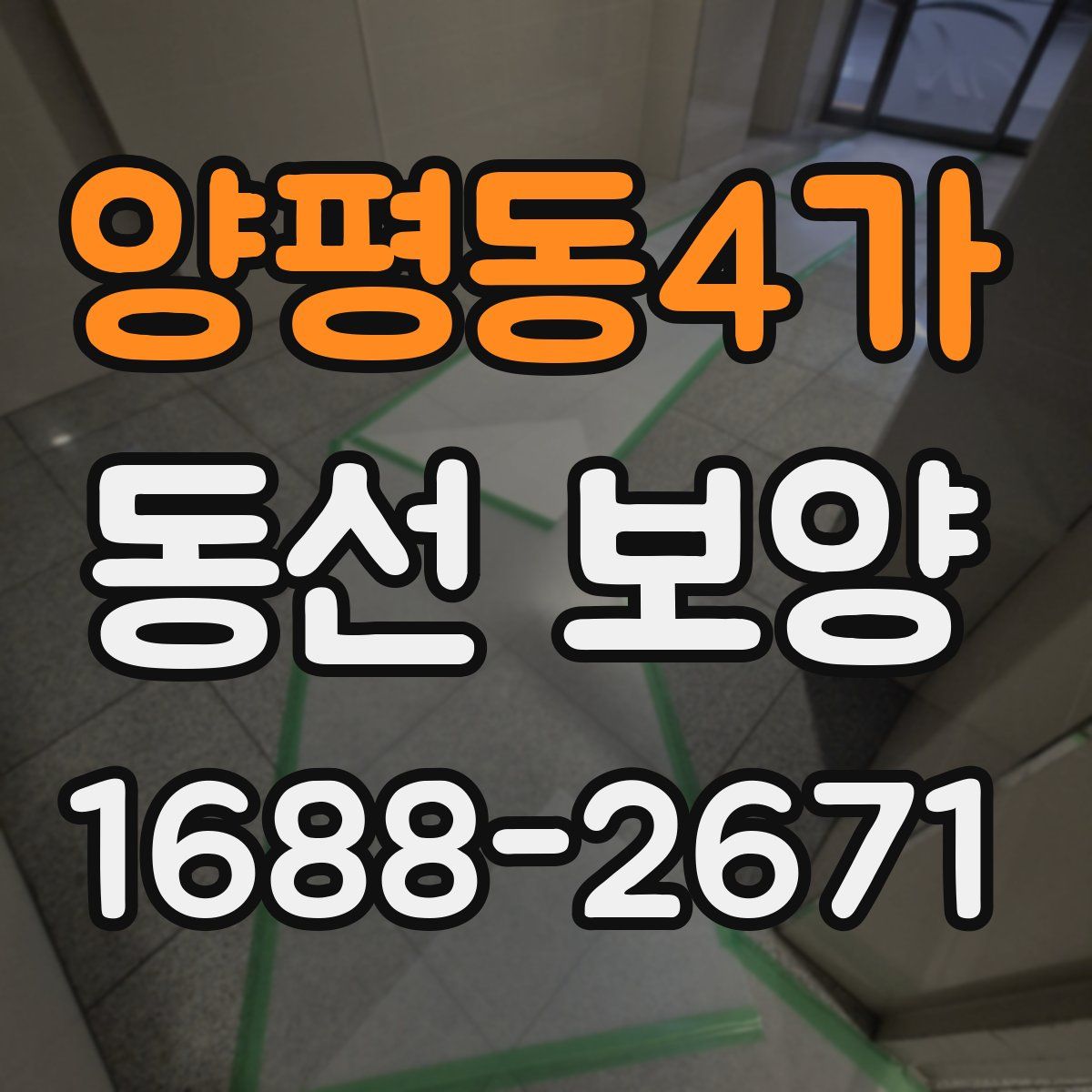 양평동4가 동선 보양