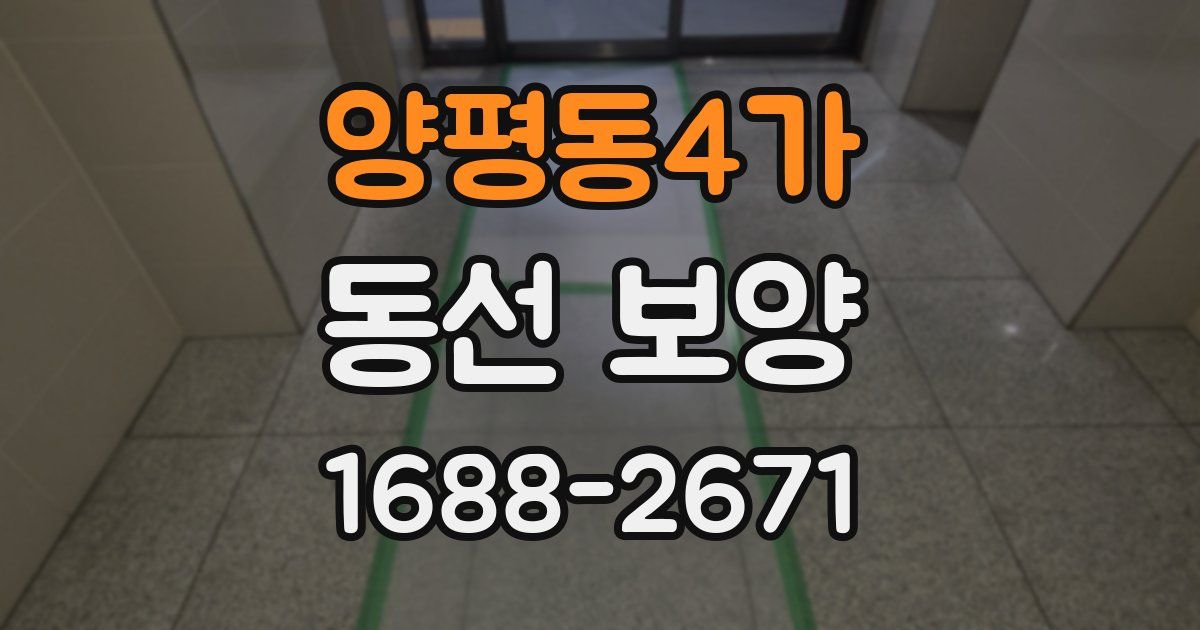 양평동4가 동선 보양