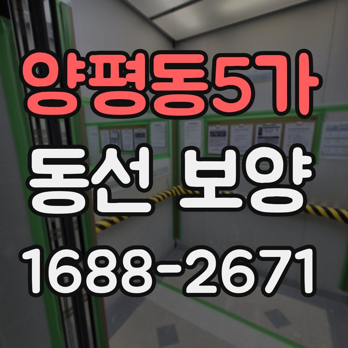 양평동5가 동선 보양 공정이 필요한 이유 살펴보기