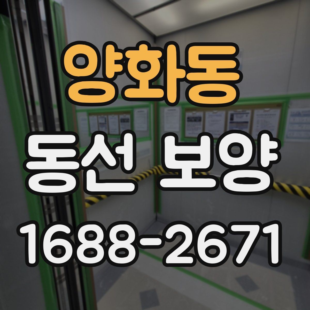 양화동 동선 보양 비교 시 살펴봐야 할 차이점
