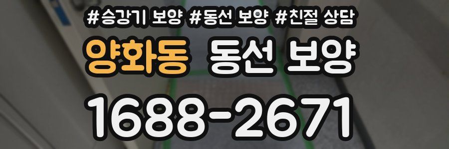 양화동 동선 보양