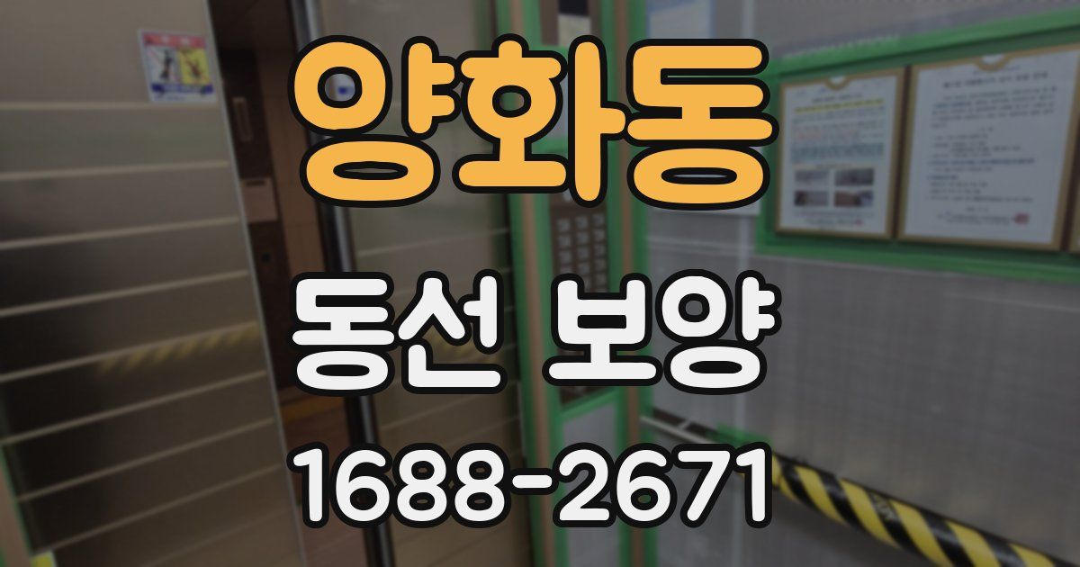 양화동 동선 보양