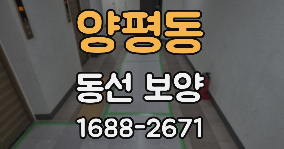 양평동 동선 보양