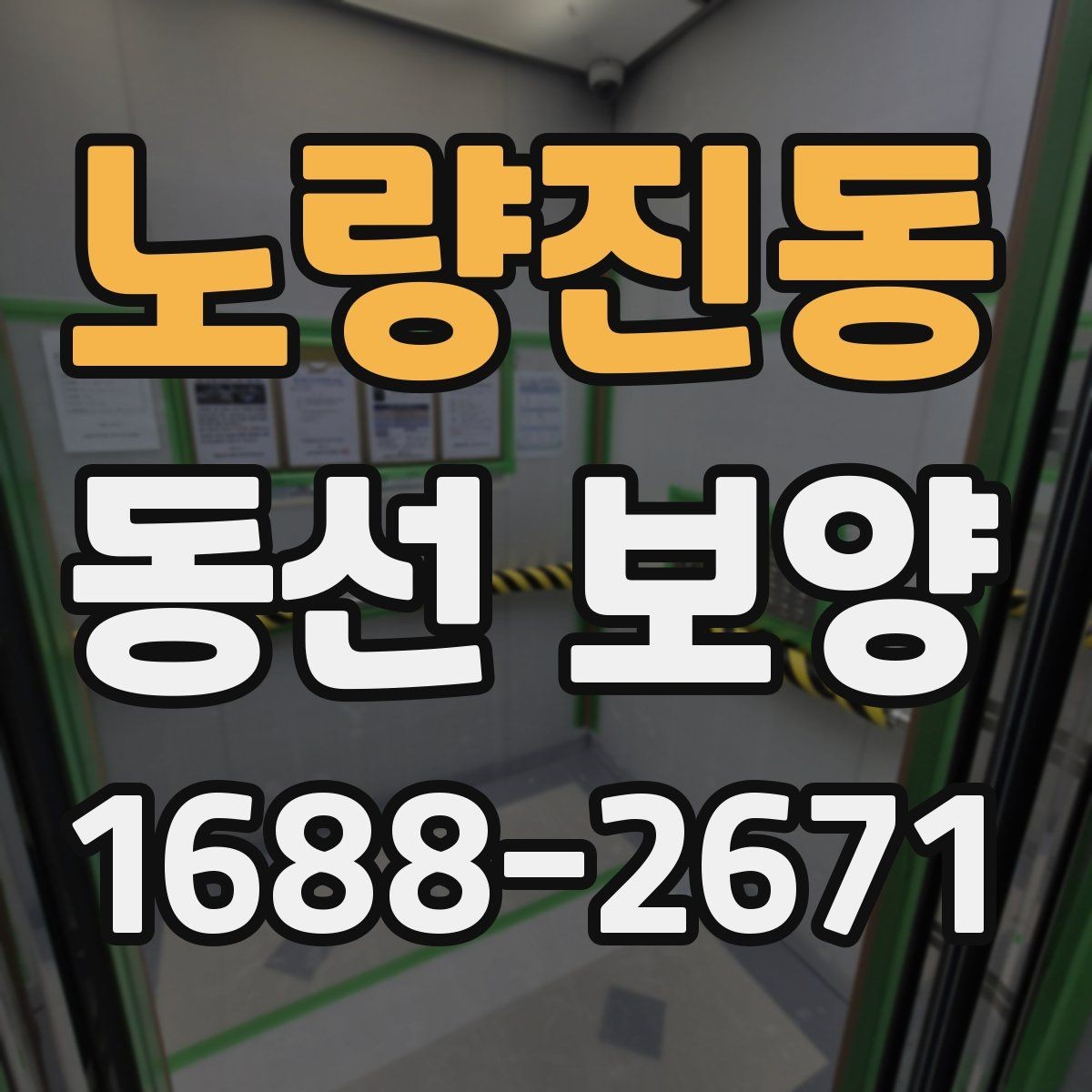 노량진동 동선 보양 작업이 필요한 대표 상황
