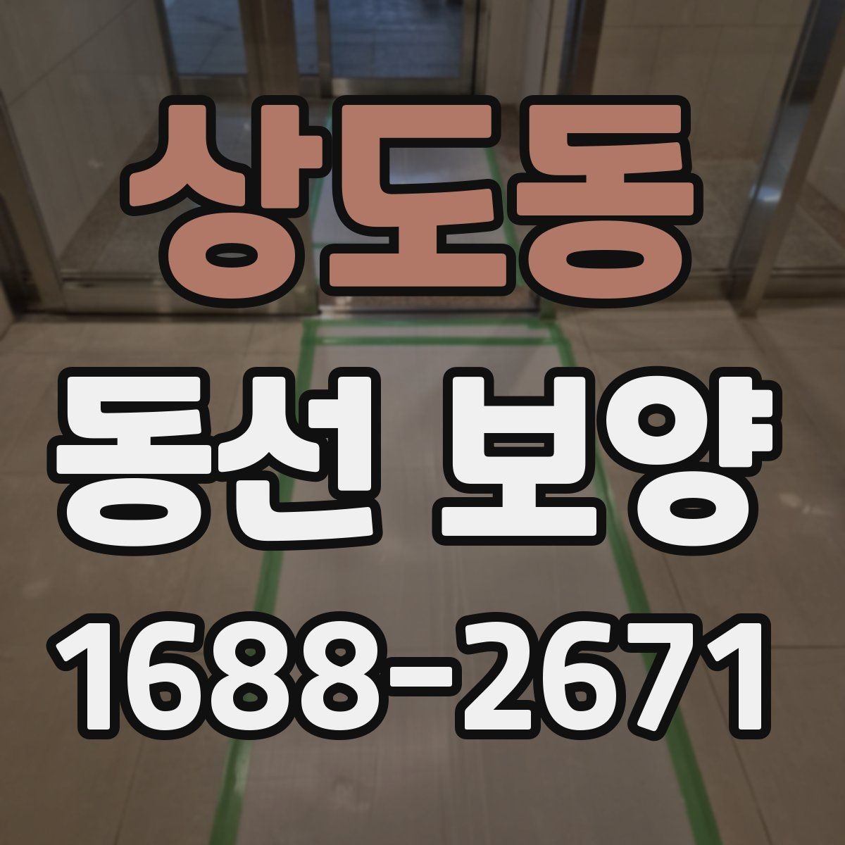 상도동 동선 보양 관련 문의 전 준비하면 좋은 정보