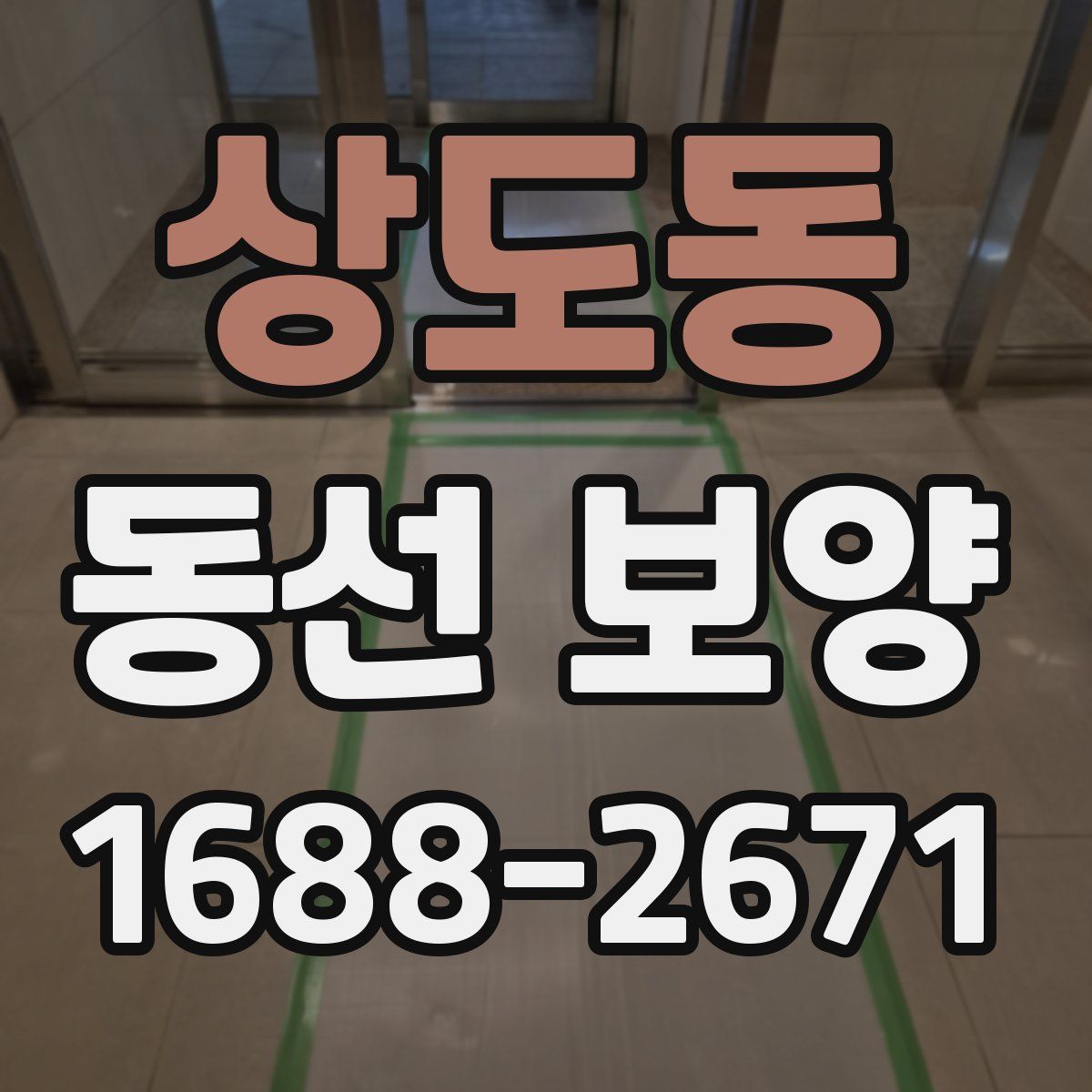 상도동 동선 보양