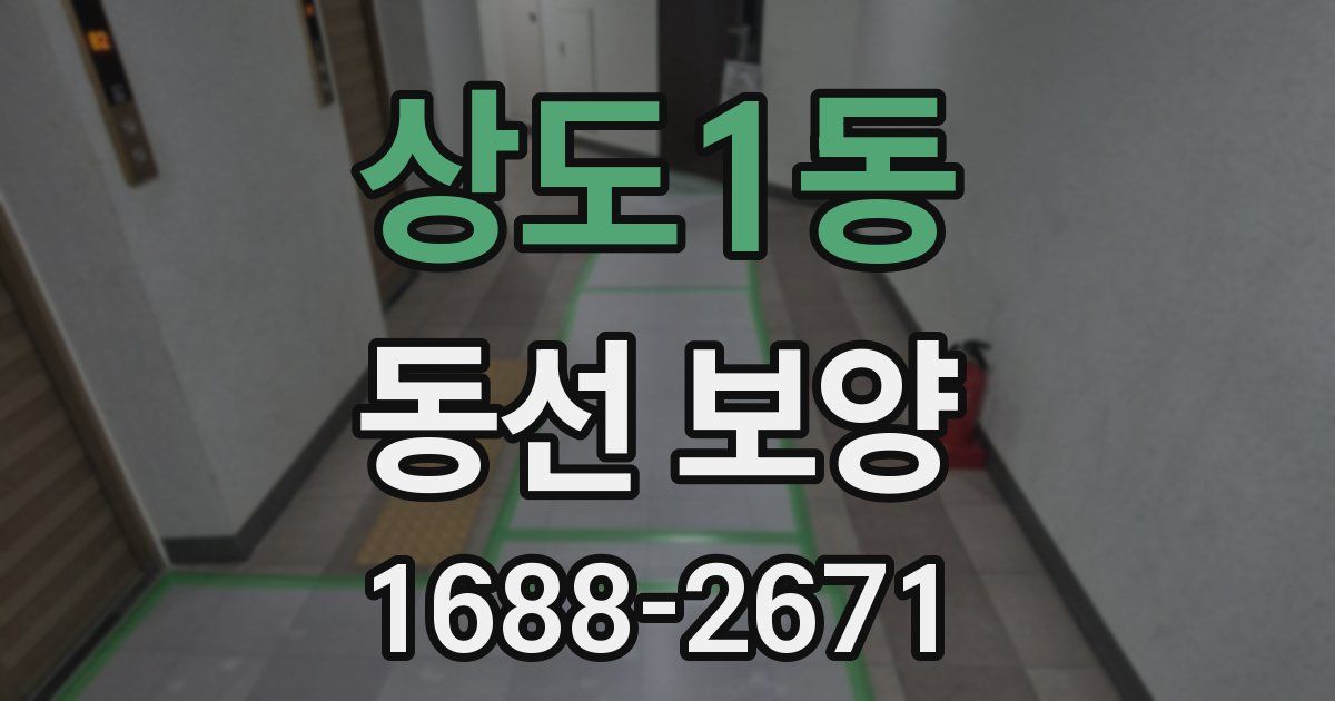 상도1동 동선 보양