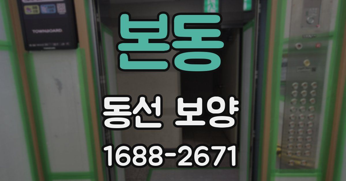 본동 동선 보양