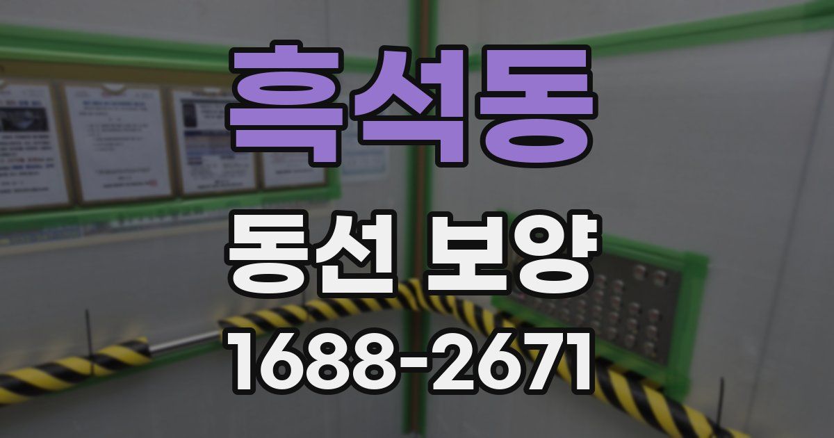 흑석동 동선 보양