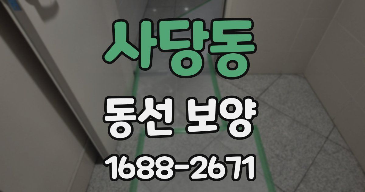 사당동 동선 보양