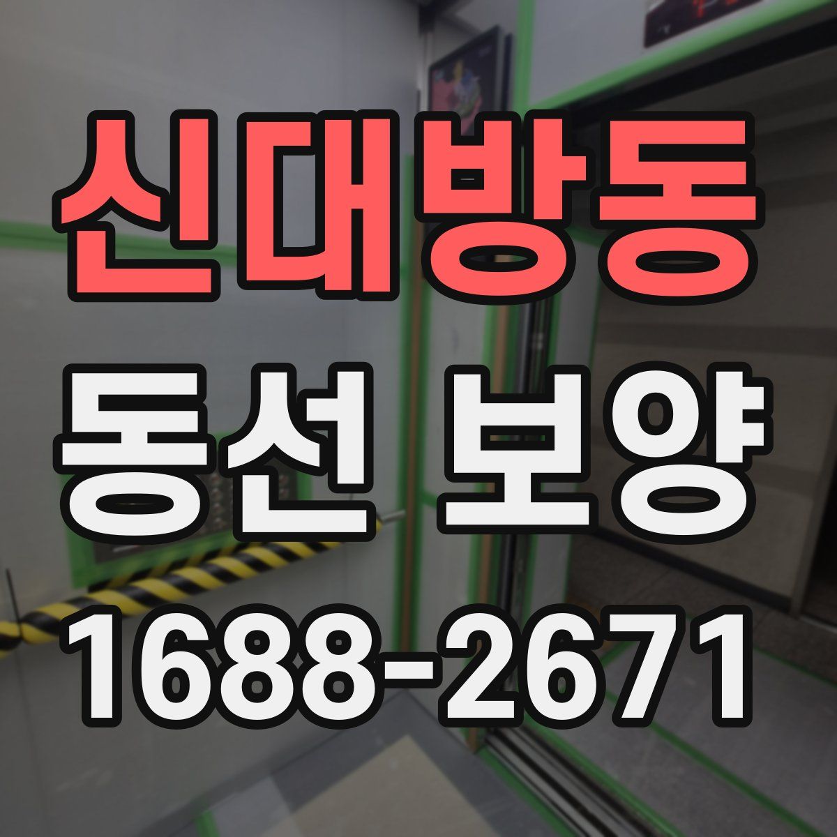 신대방동 동선 보양