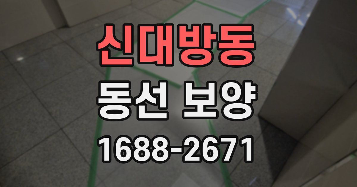 신대방동 동선 보양