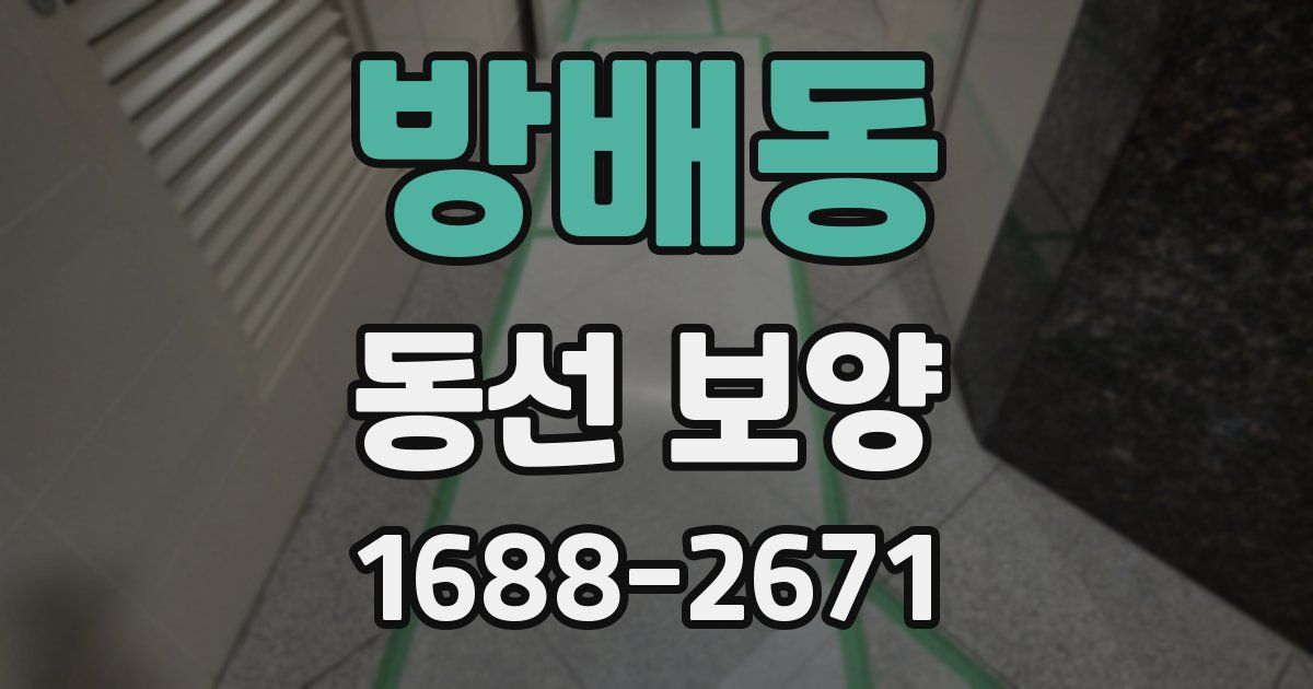 방배동 동선 보양
