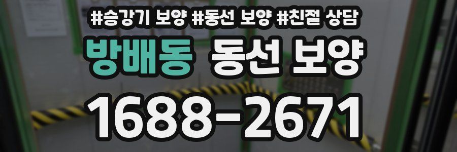 방배동 동선 보양