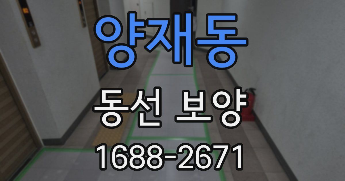양재동 동선 보양