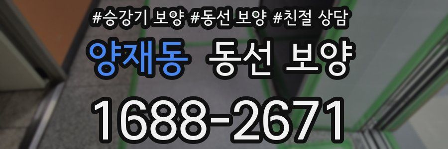 양재동 동선 보양