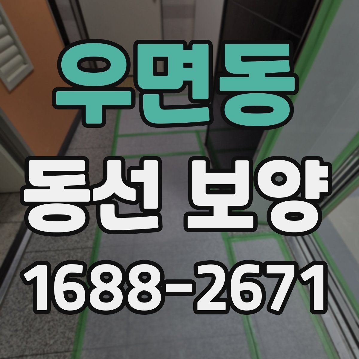 우면동 동선 보양 공정에서 자주 묻는 질문 정리