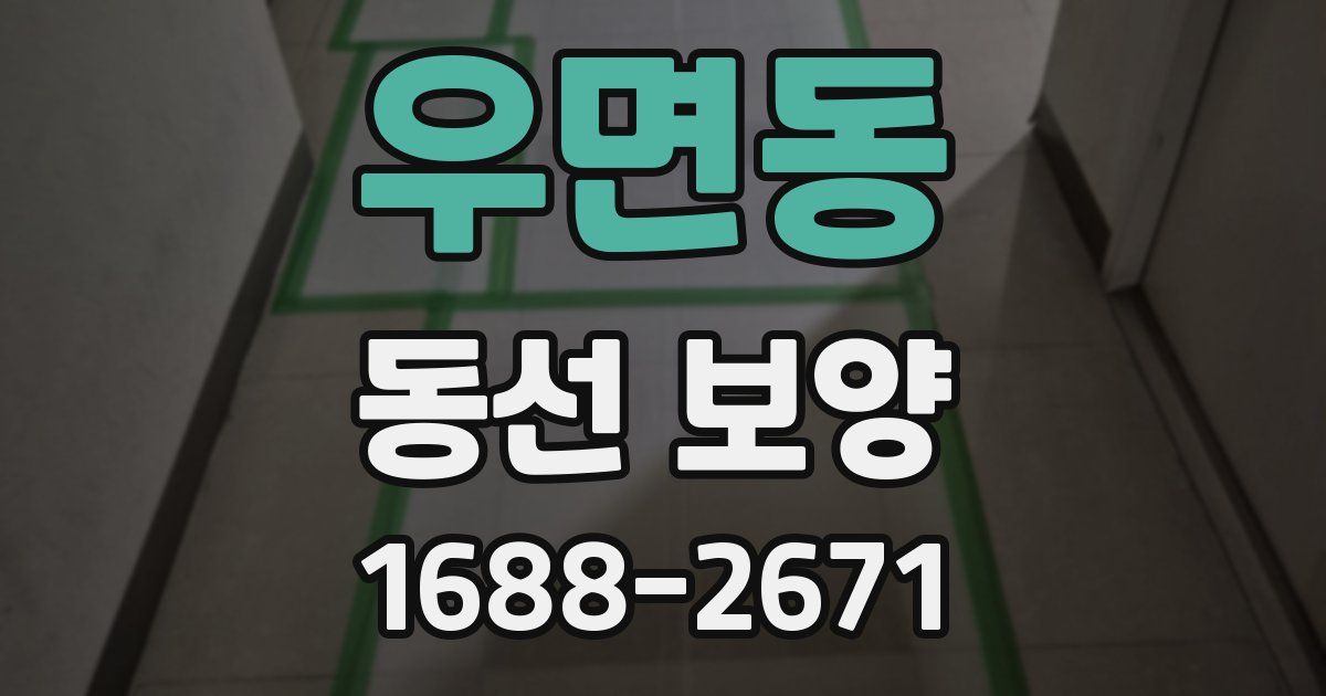 우면동 동선 보양