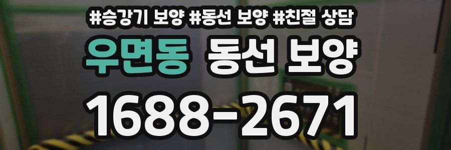우면동 동선 보양