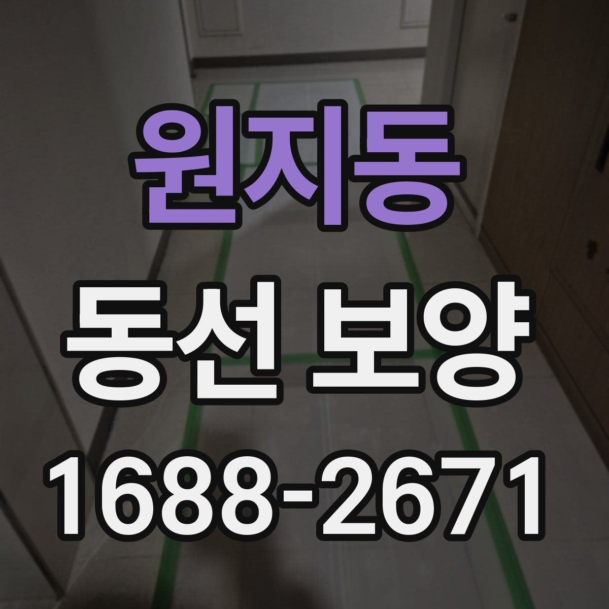 원지동 동선 보양 작업 전후 비교로 보는 변화