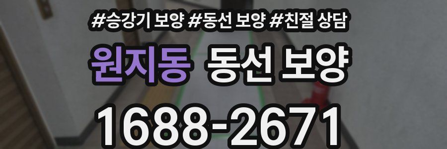 원지동 동선 보양