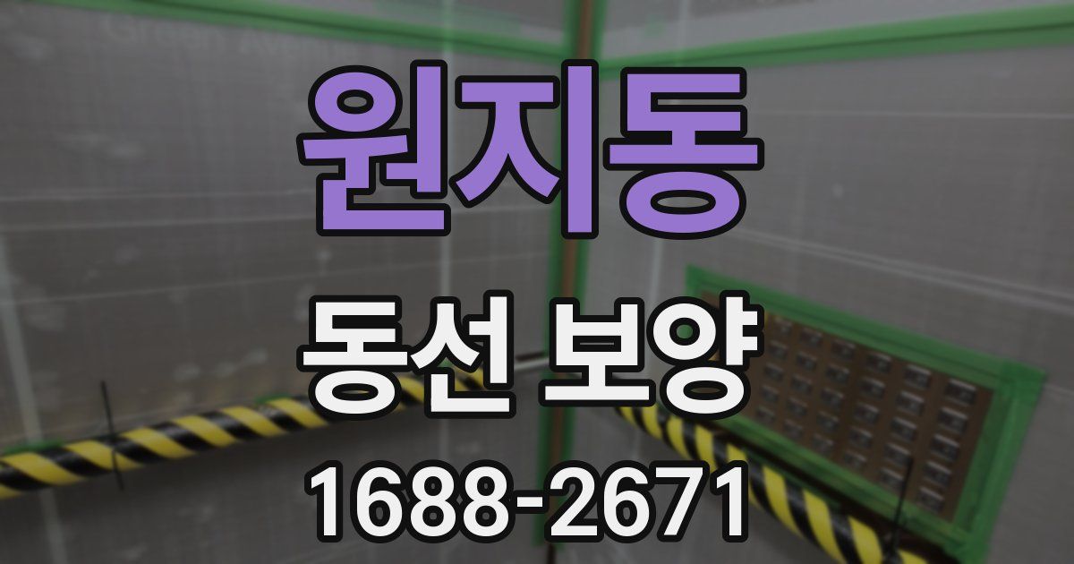 원지동 동선 보양