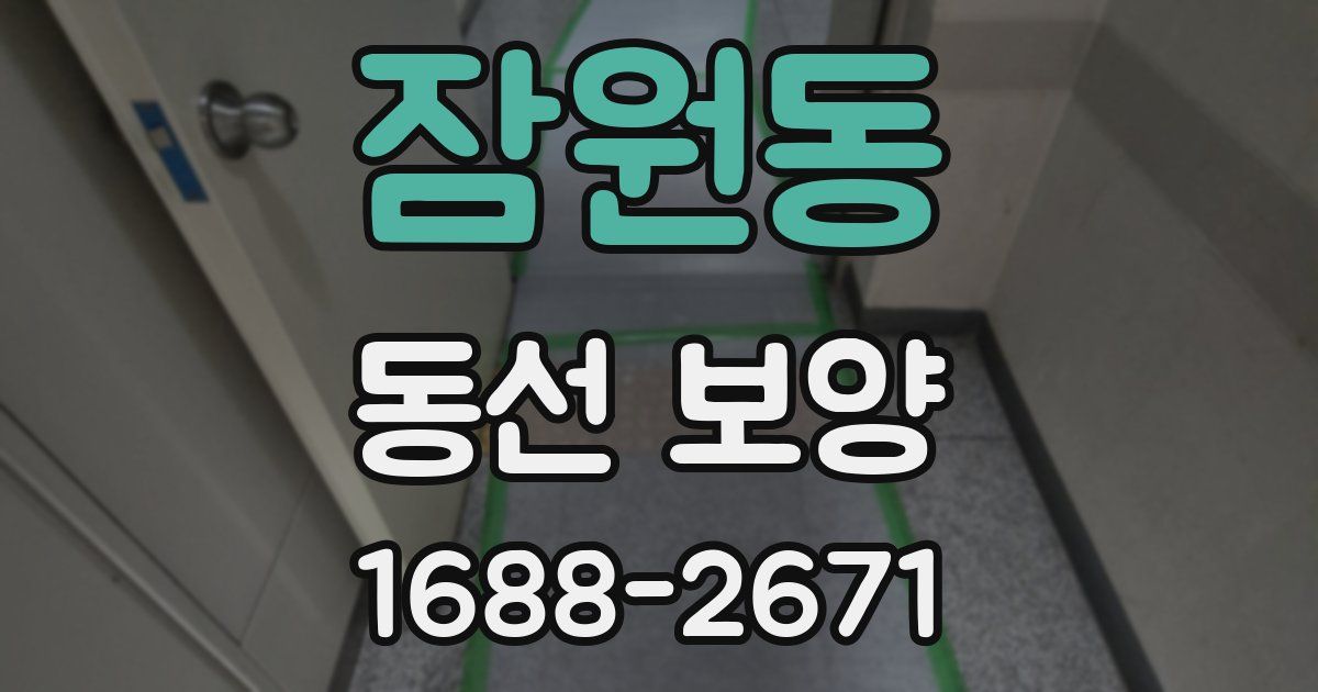 잠원동 동선 보양