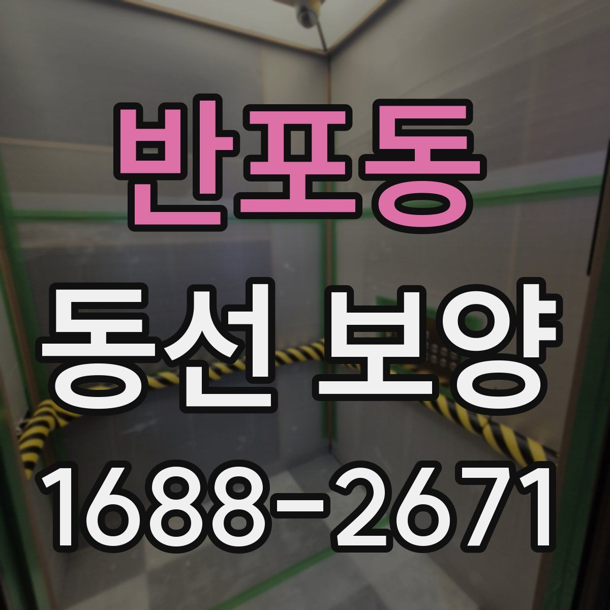 반포동 동선 보양