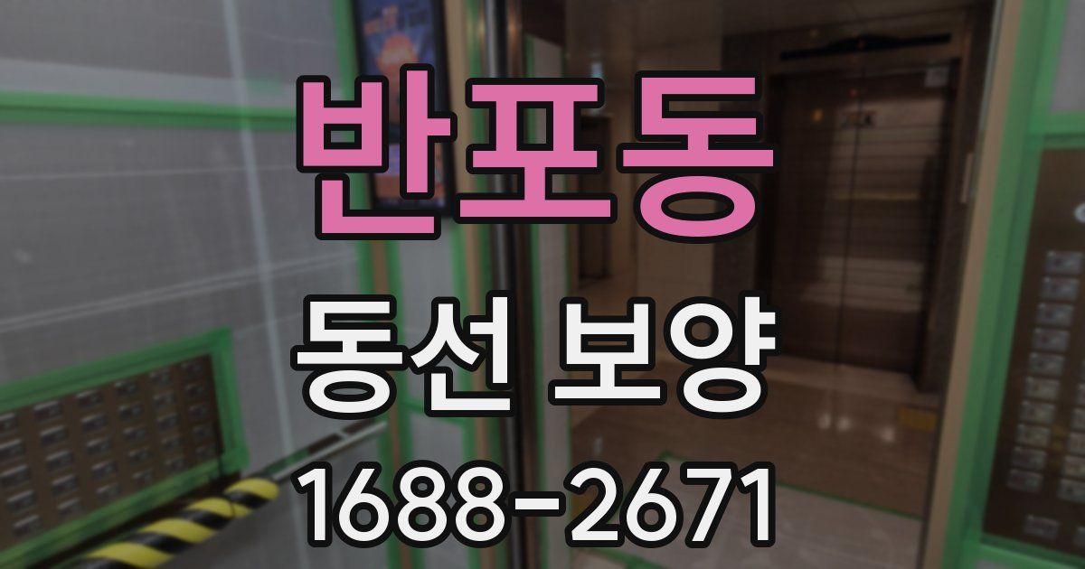 반포동 동선 보양
