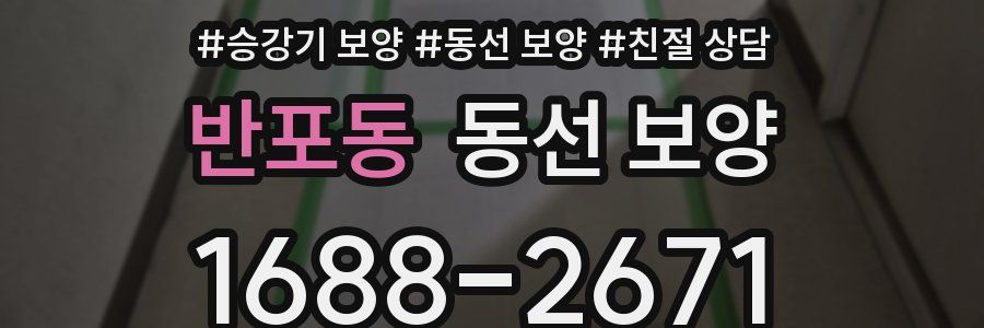 반포동 동선 보양