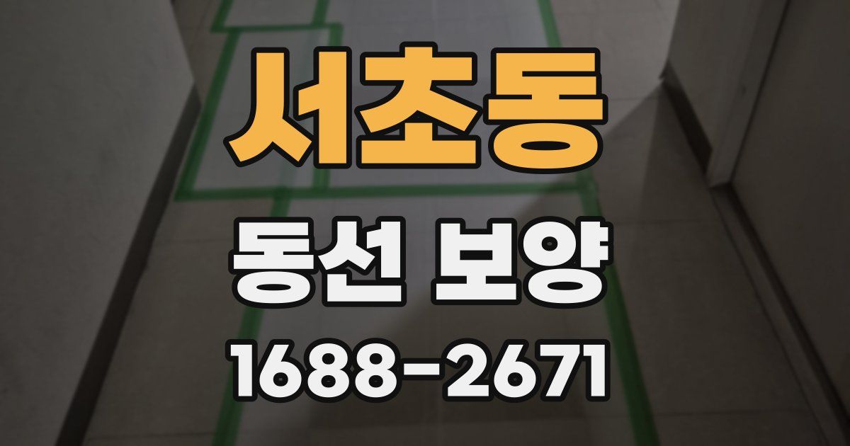 서초동 동선 보양