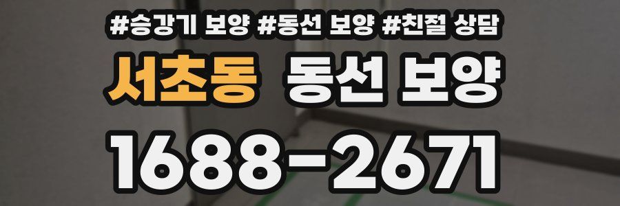 서초동 동선 보양