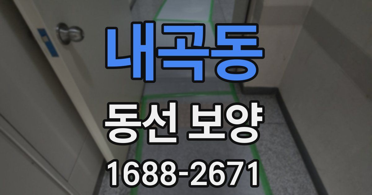 내곡동 동선 보양