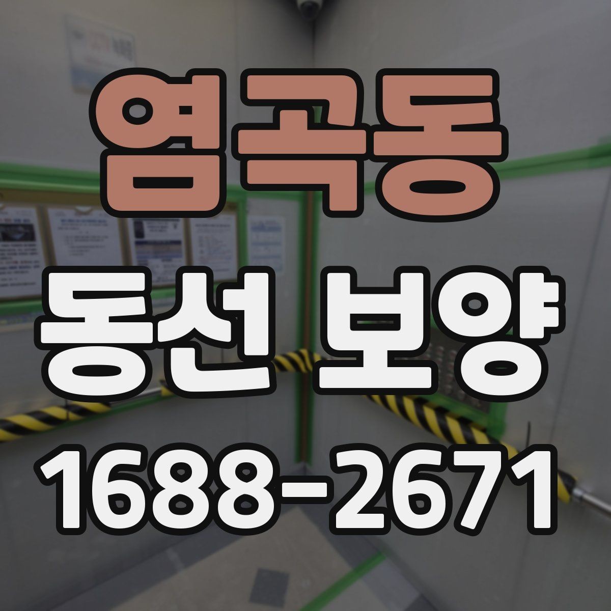 염곡동 동선 보양 범위 설정과 작업 준비 방법