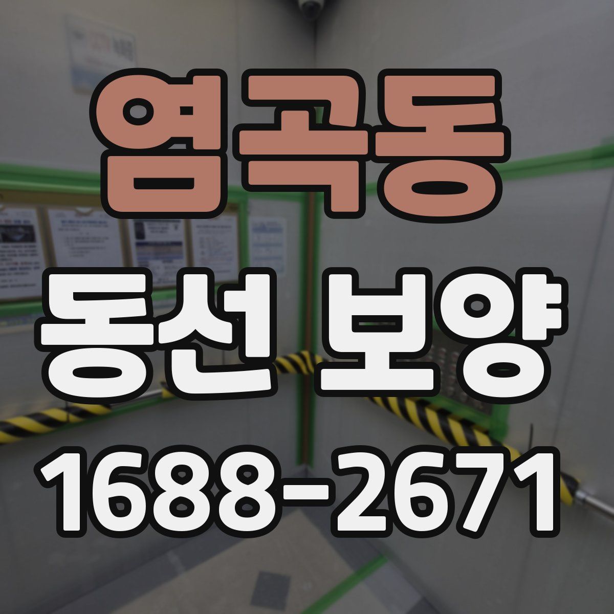 염곡동 동선 보양