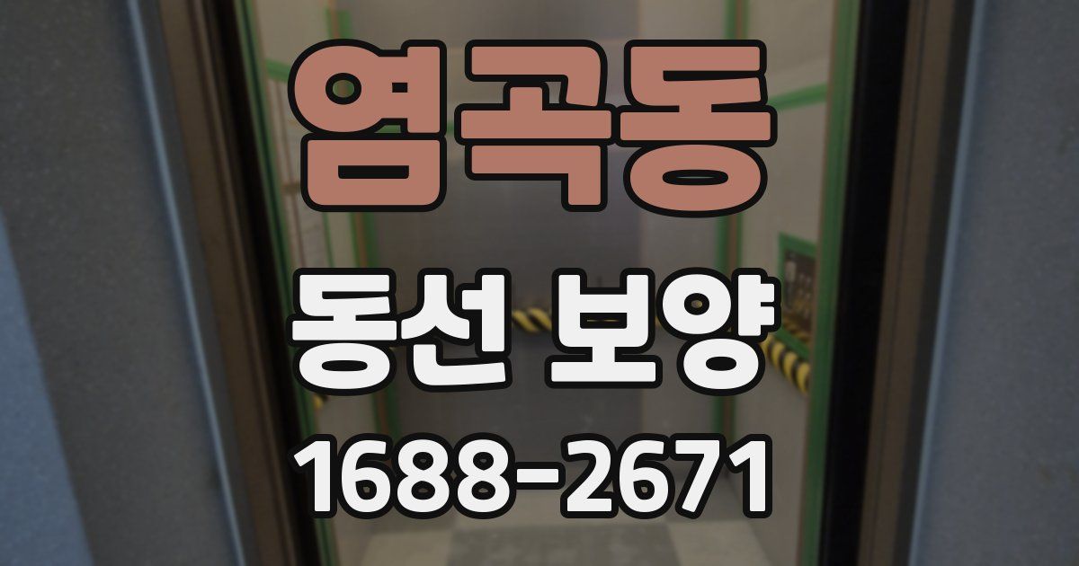 염곡동 동선 보양