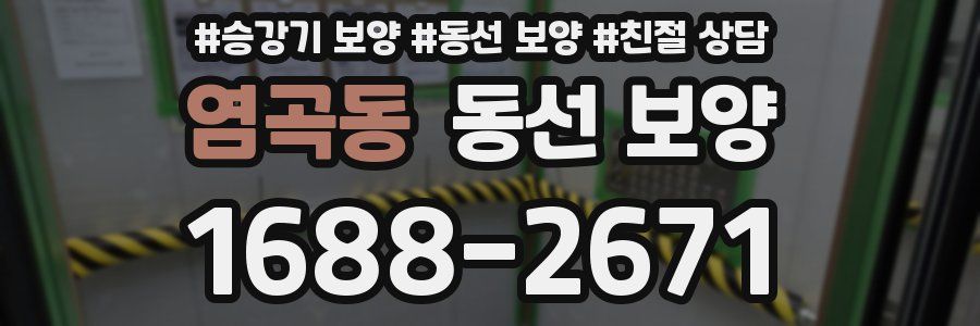 염곡동 동선 보양
