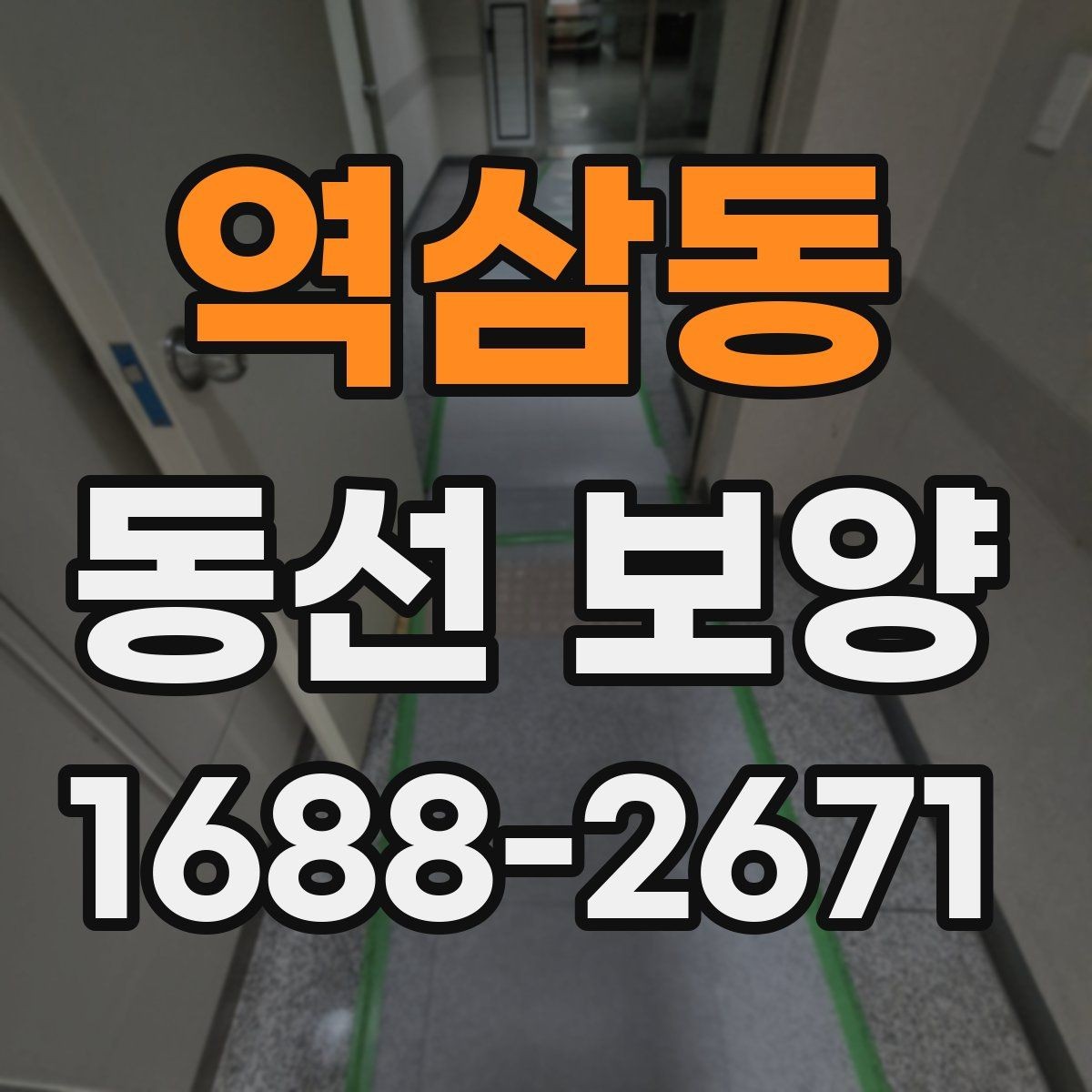 역삼동 동선 보양 실무에서 자주 확인하는 기준