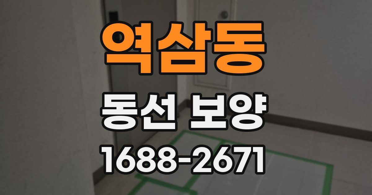 역삼동 동선 보양