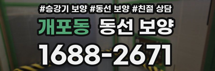 개포동 동선 보양