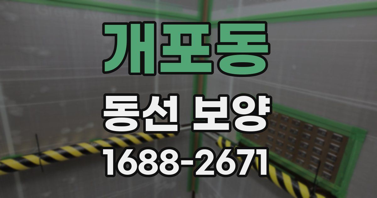 개포동 동선 보양