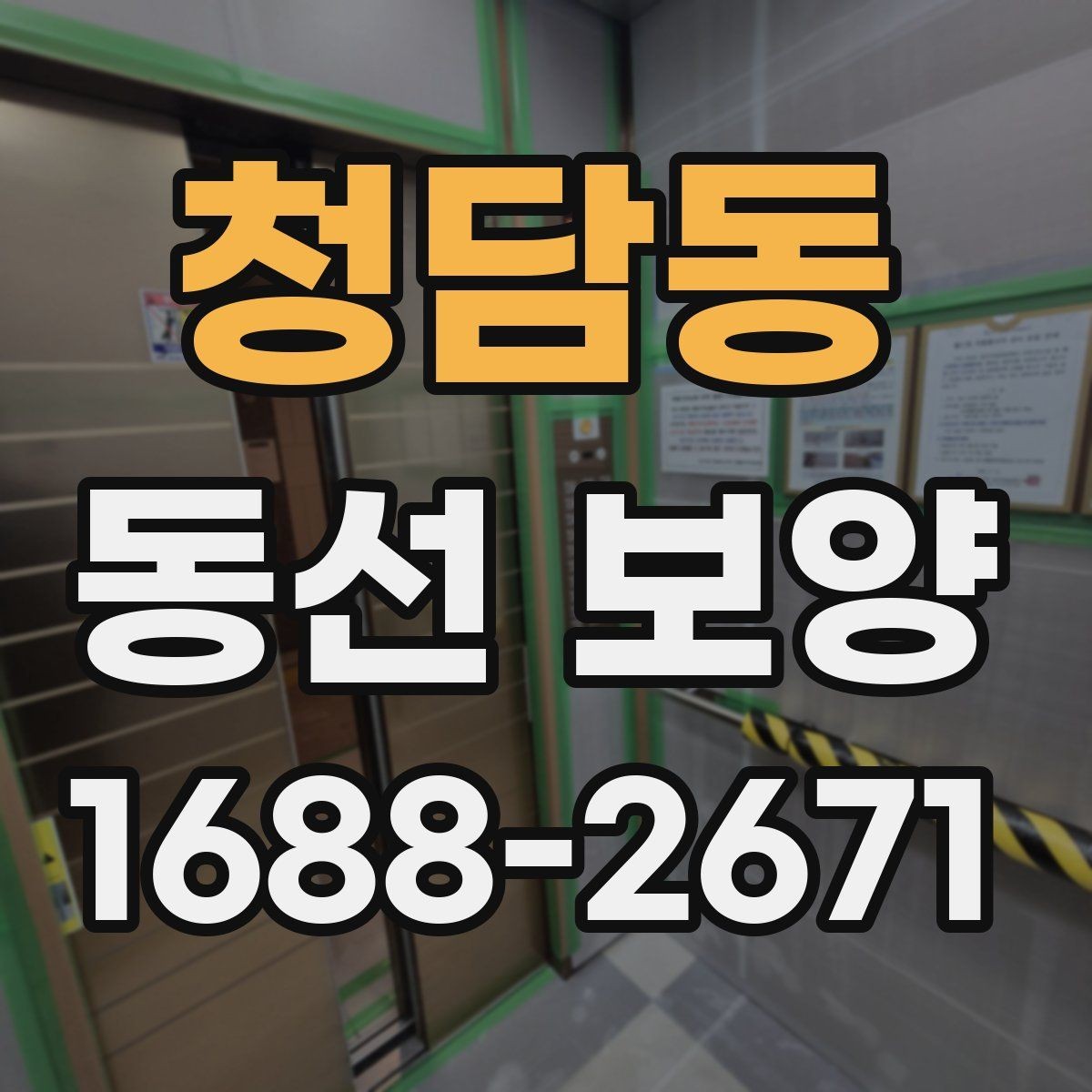 청담동 동선 보양 선택 전 확인하면 좋은 기준