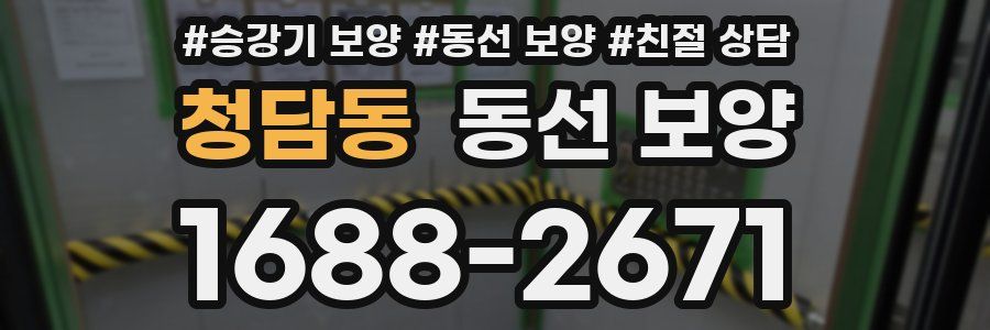 청담동 동선 보양