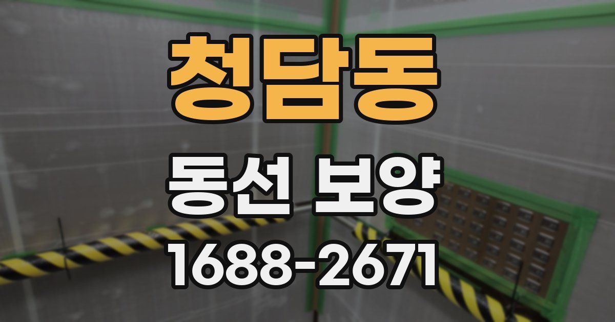 청담동 동선 보양