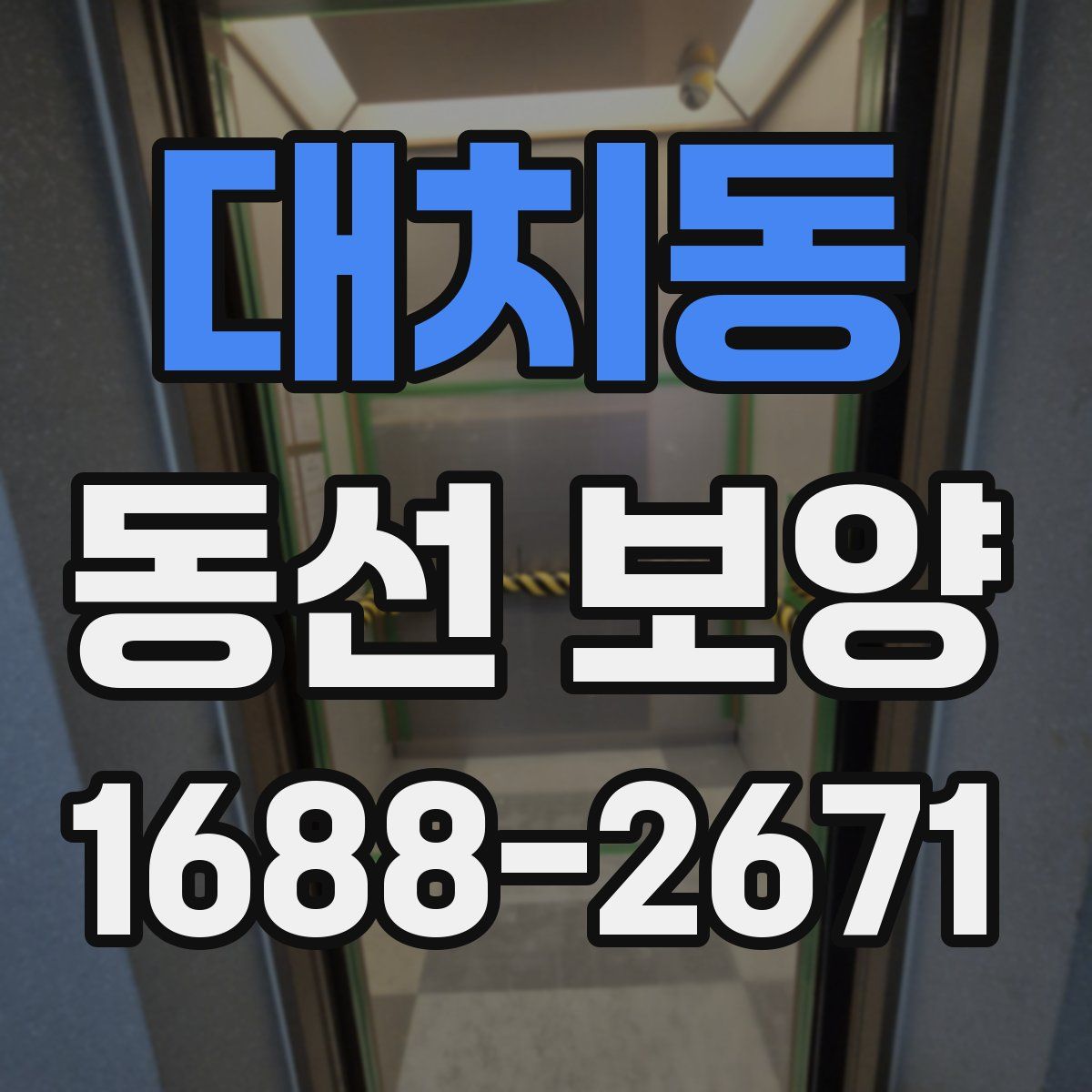대치동 동선 보양