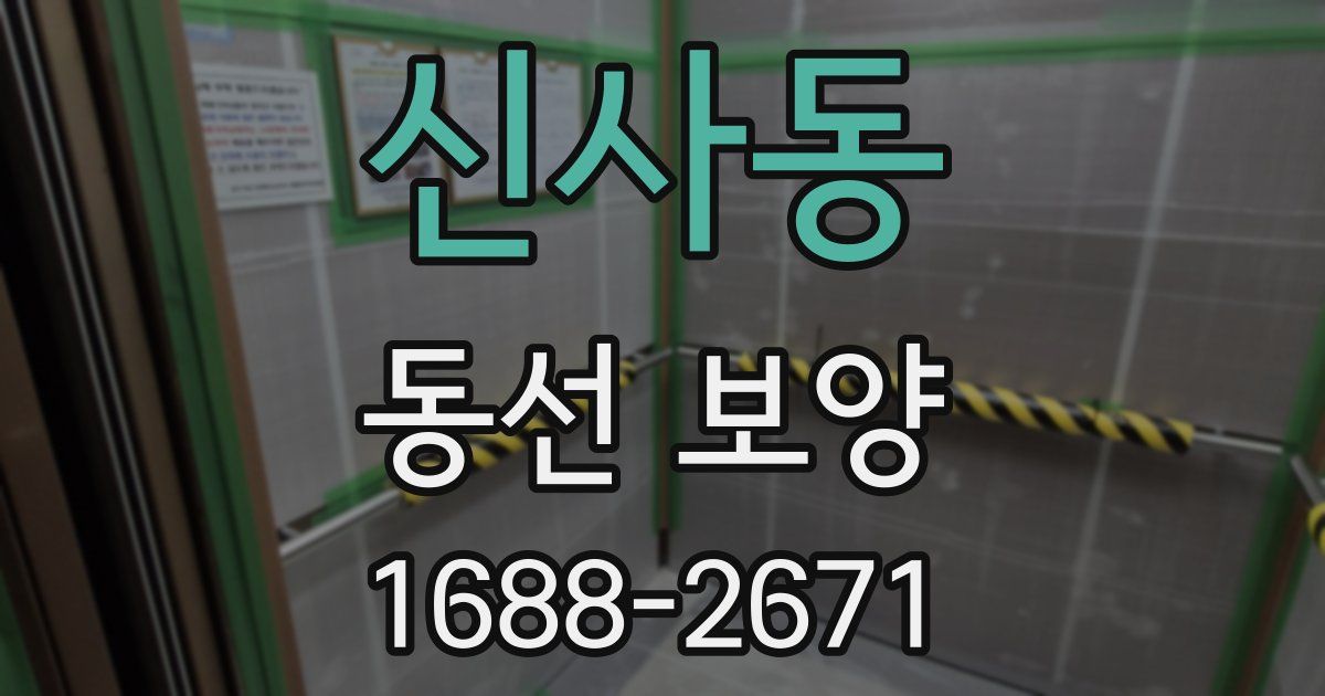 신사동 동선 보양