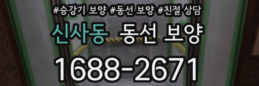 신사동 동선 보양